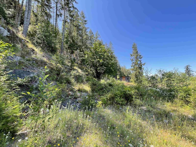 5232 Cecil Hill Road - 4