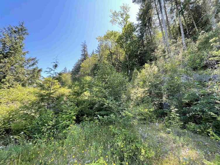 5232 Cecil Hill Road, Pender Harbour Egmont, BC, V0N 2H0 - 6