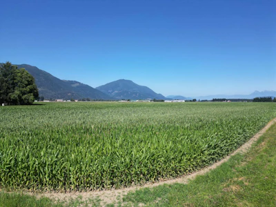 49AC Hyde Buker Road - 4