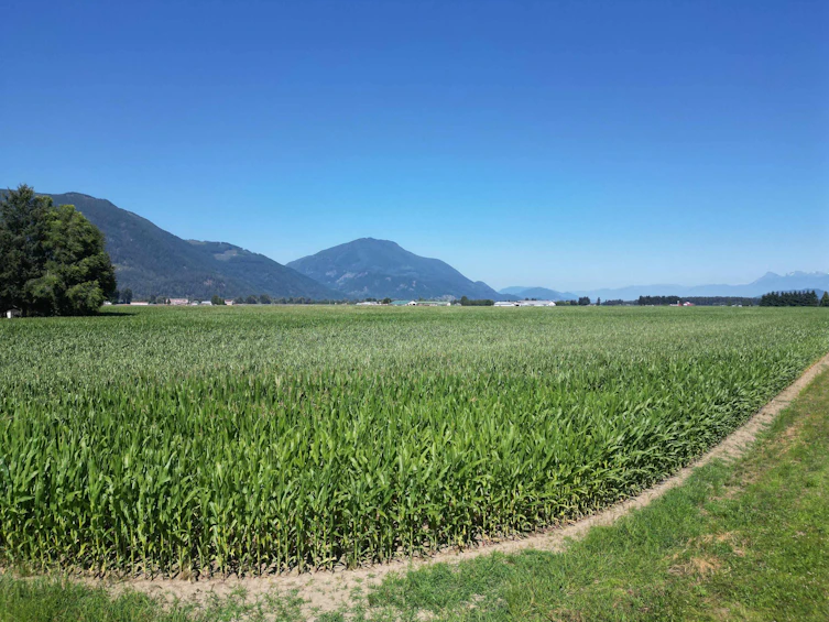 49AC Hyde Buker Road, Mission, BC, V0M 1H0 - 4