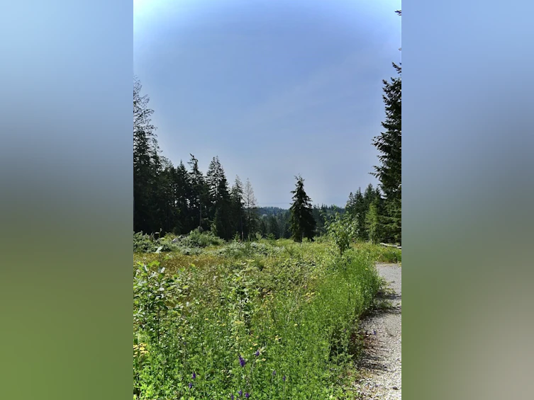 1491 Reed Road, Gibsons, BC, V0N 1V7 - 6
