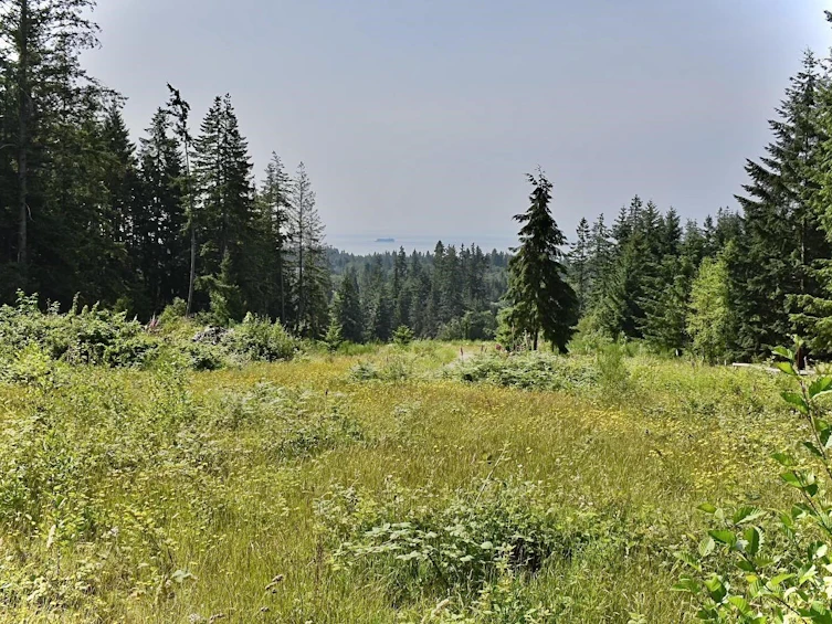 1491 Reed Road, Gibsons, BC, V0N 1V7 - 2