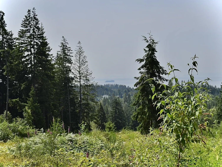 1491 Reed Road, Gibsons, BC, V0N 1V7 - 4