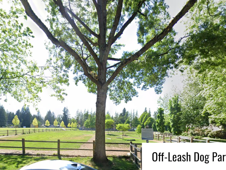 5-20591 51a Avenue, Langley, BC, V3A 7A4 - 29