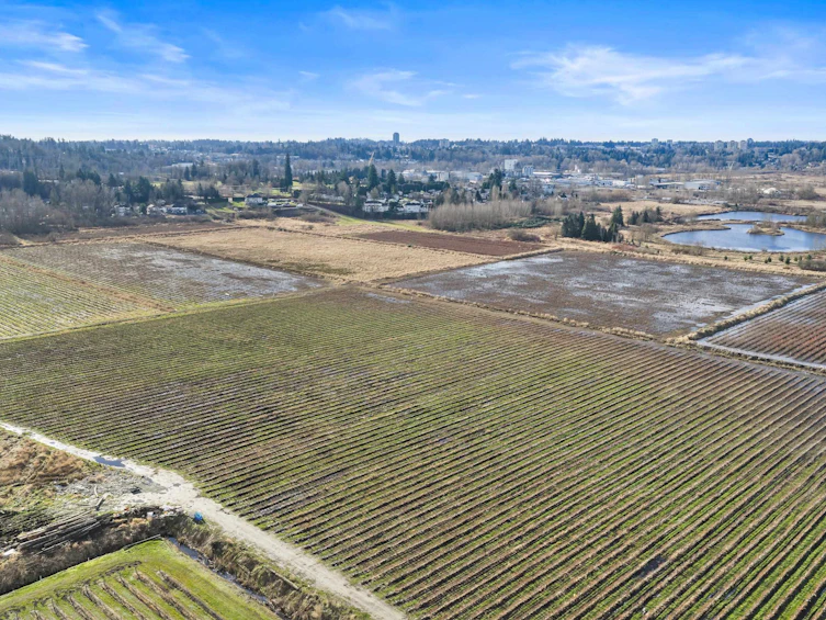 34350 Bateman Road, Abbotsford, BC, V2S 7Y8 - 14