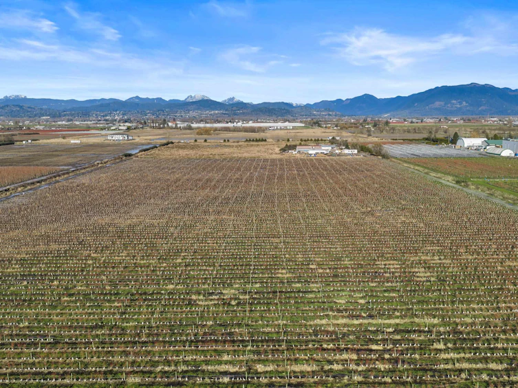 34350 Bateman Road, Abbotsford, BC, V2S 7Y8 - 15