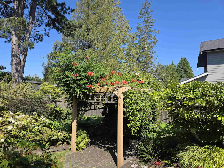 5231 1 Avenue, Delta, BC, V4M 1B4 - 8