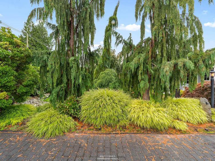 5231 1 Avenue, Delta, BC, V4M 1B4 - 9