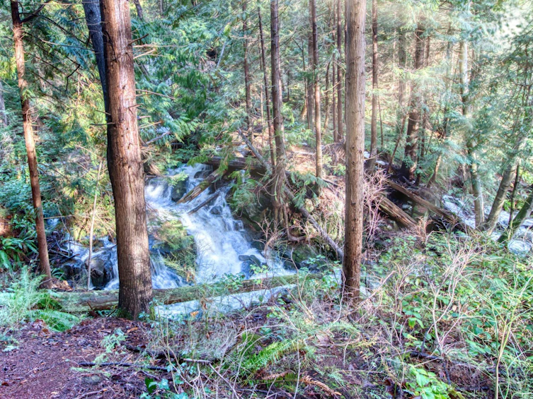 5518 Wakefield Road, Sechelt, BC, V0N 3A8 - 24
