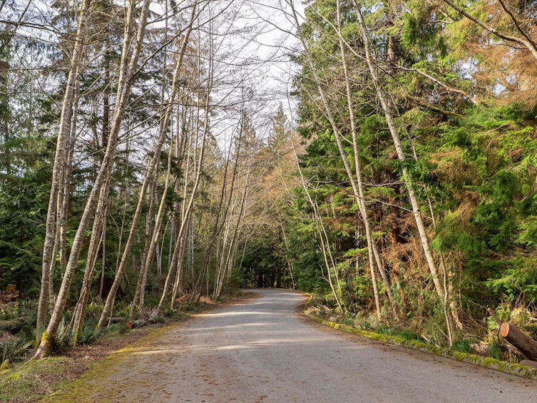 1609 Isleview Lane, Bowen Island, BC, V0N 1G2 - 38