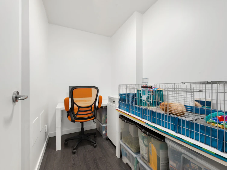 1711-788 Hamilton Street, Vancouver, BC, V6B 0E9 - 8