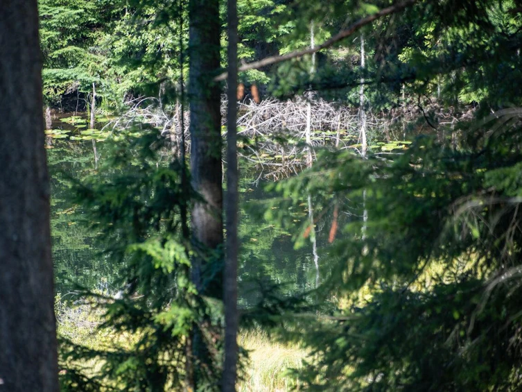 360 Salal Road, Bowen Island, BC, V0N 1G2 - 34