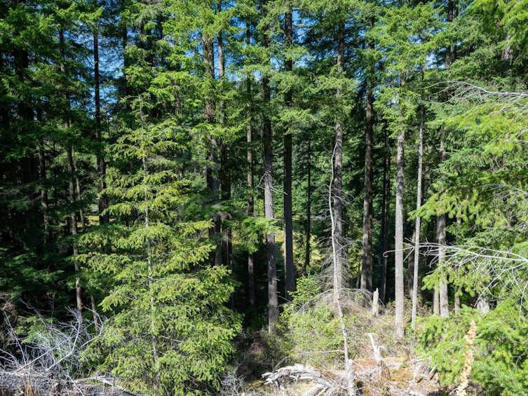 360 Salal Road, Bowen Island, BC, V0N 1G2 - 33