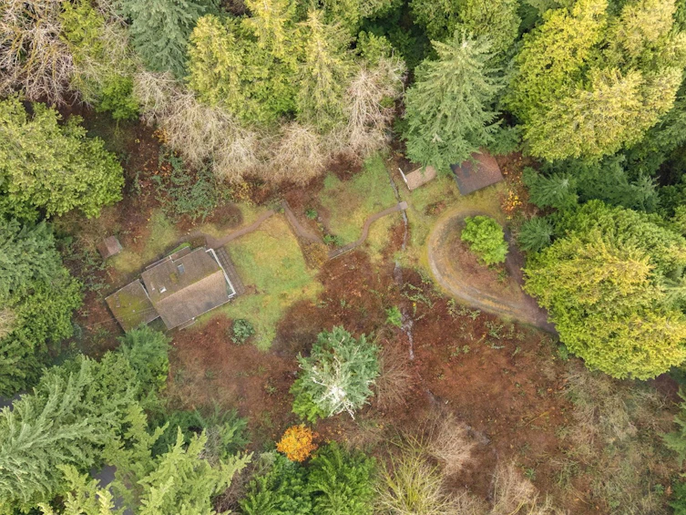 4520 Lynn Valley Road, North Vancouver, BC, V7K 2T5 - 3