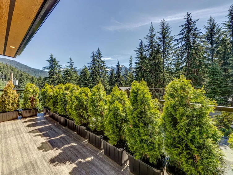 9391 Emerald Drive, Whistler, BC, V8E 0G5 - 16
