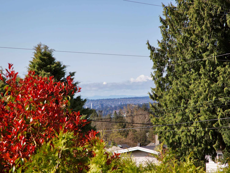 445 W Queens Road, North Vancouver, BC, V7N 2K8 - 5