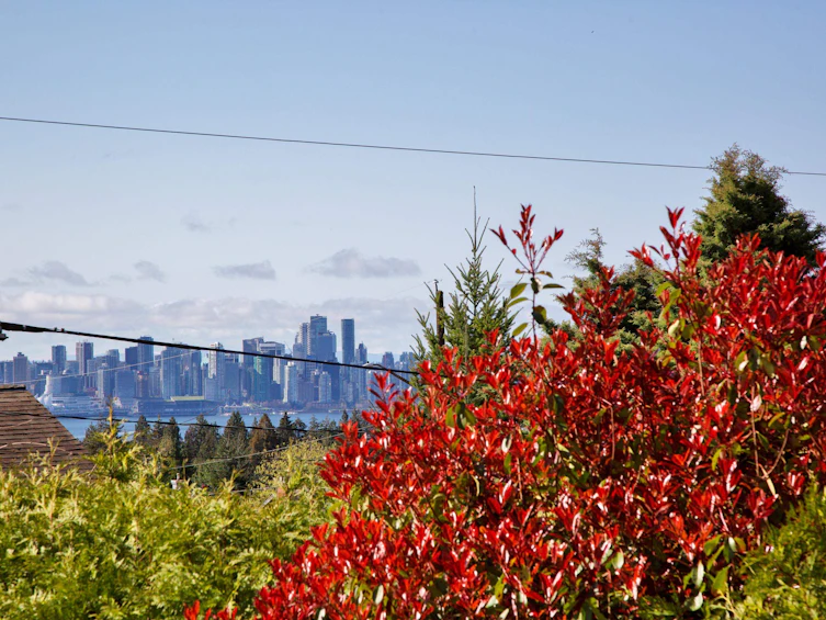 445 W Queens Road, North Vancouver, BC, V7N 2K8