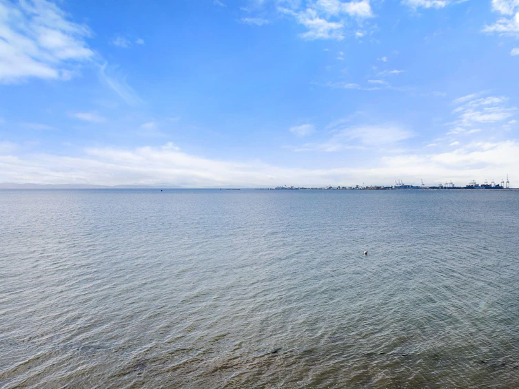 188 Tsawwassen Beach Road, Delta, BC, V4M 2J2 - 13