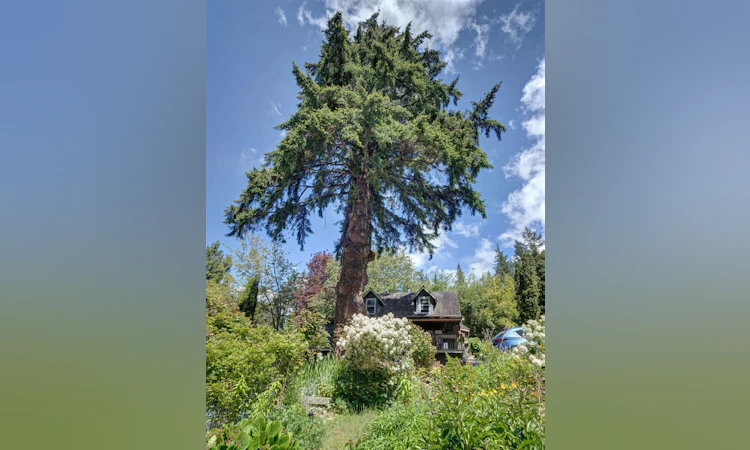 2602 Lower Road