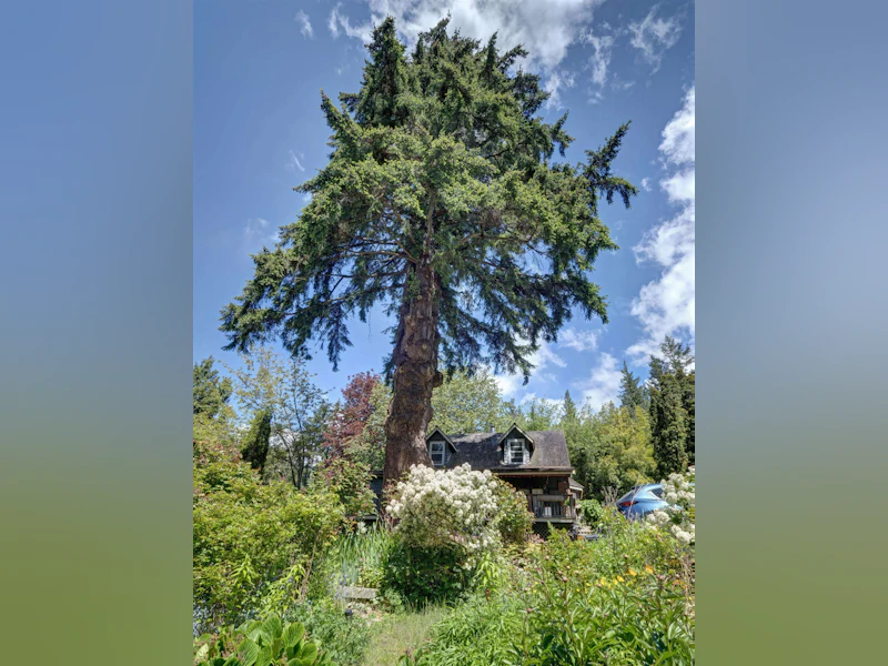 2602 Lower Road, Roberts Creek BC