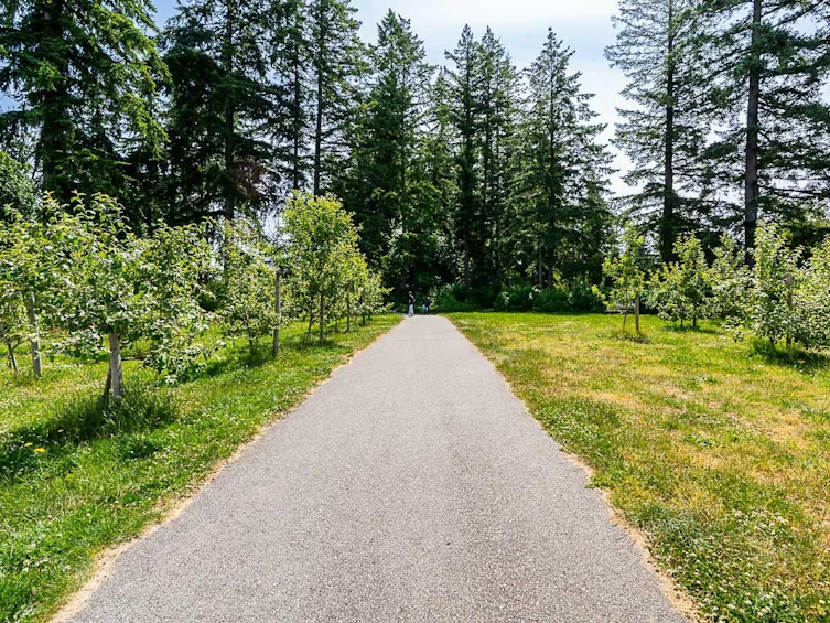 13-16678 25 Avenue, Surrey, BC, V2Z 0Z2 - 32