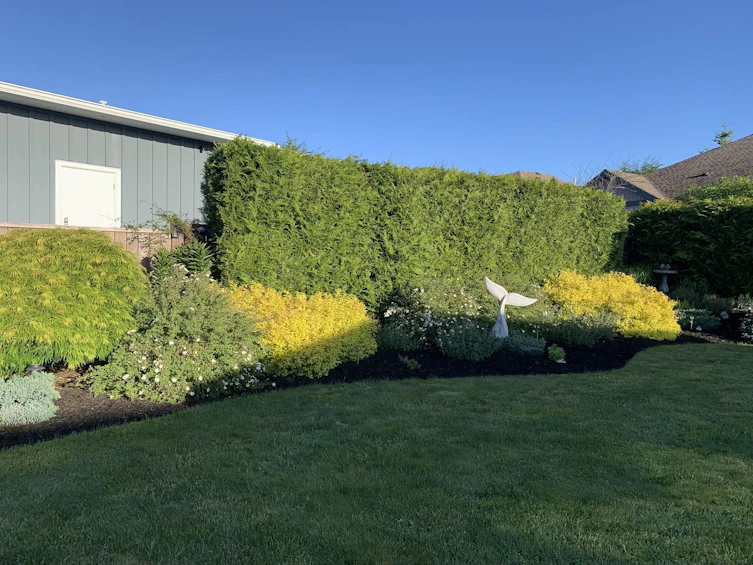 6355 Baillie Road, Sechelt, BC, V7Z 0V2 - 33