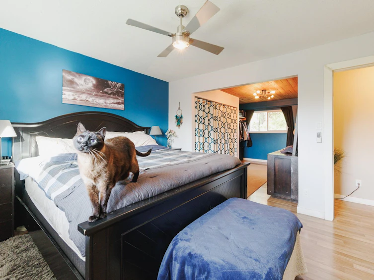 12045 261 Street, Maple Ridge, BC, V2W 2A5 - 18