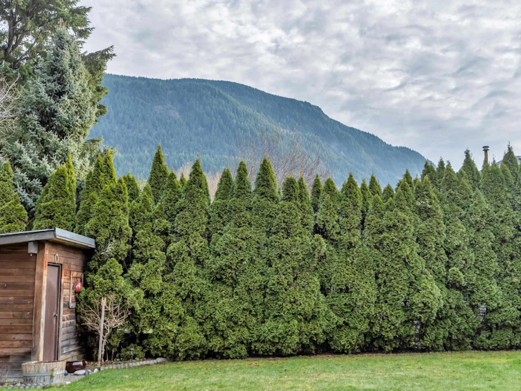 223 Balsam Avenue, Harrison Hot Springs, BC, V0M 1K0 - 39
