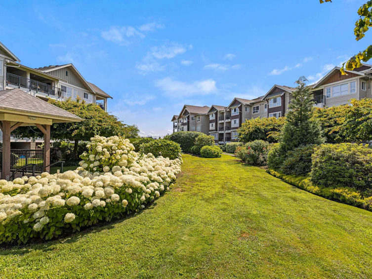 429-19677 Meadow Gardens Way, Pitt Meadows, BC, V3Y 0A2 - 29