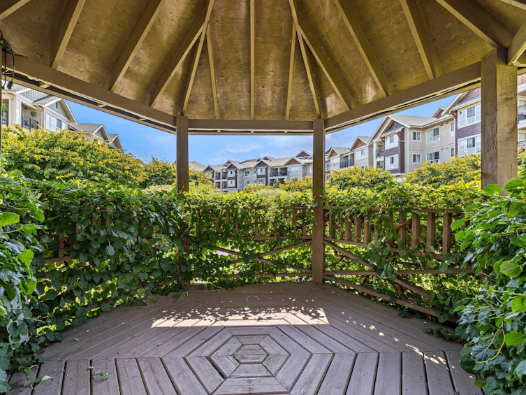 429-19677 Meadow Gardens Way, Pitt Meadows, BC, V3Y 0A2 - 32