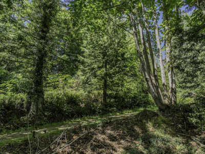 12882 Stone Road - 4