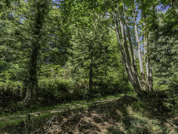 12882 Stone Road, Pender Harbour Egmont, BC, V0N 2H1 - 4