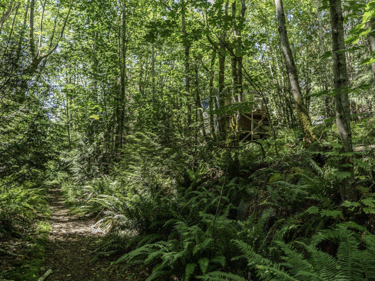12882 Stone Road, Pender Harbour Egmont, BC, V0N 2H1 - 17
