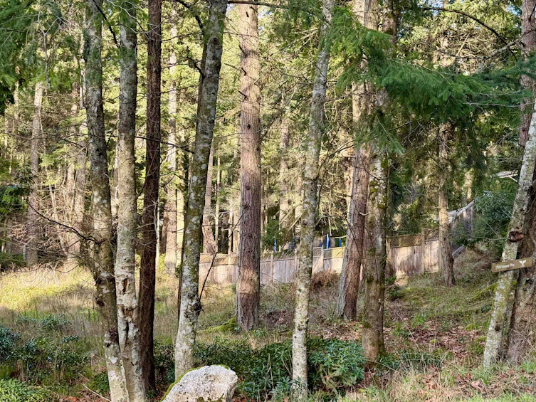 27100 Schooner Way, Pender Island, BC, V0N 2M2 - 4