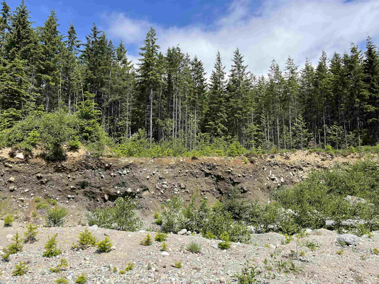 DL 1312 Sullivan Road, Gibsons, BC, V0N 1V7 - 18