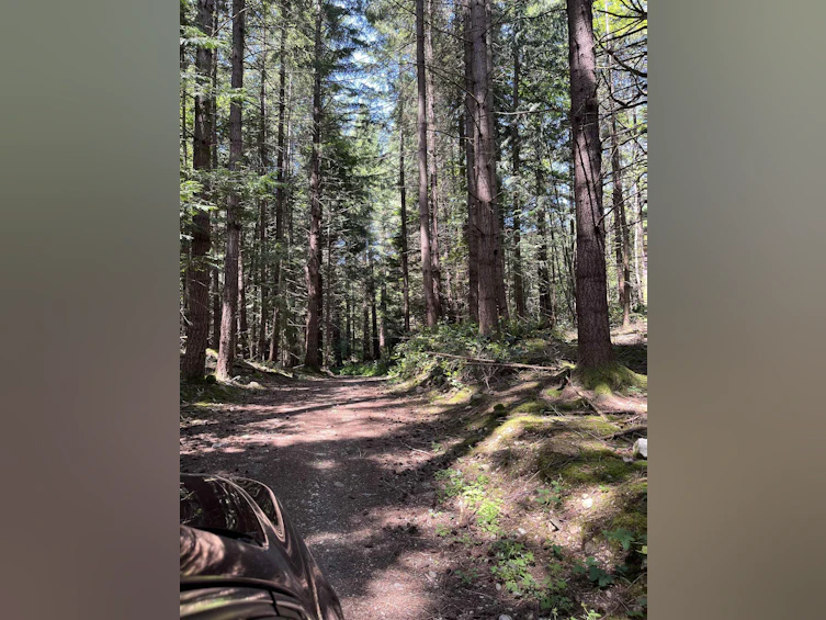 DL 1312 Sullivan Road, Gibsons, BC, V0N 1V7 - 13