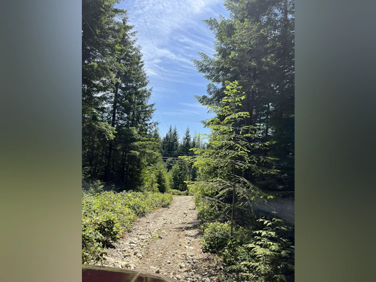 DL 1312 Sullivan Road, Gibsons, BC, V0N 1V7 - 10