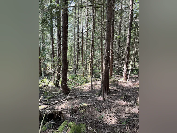 DL 1312 Sullivan Road, Gibsons, BC, V0N 1V7 - 12