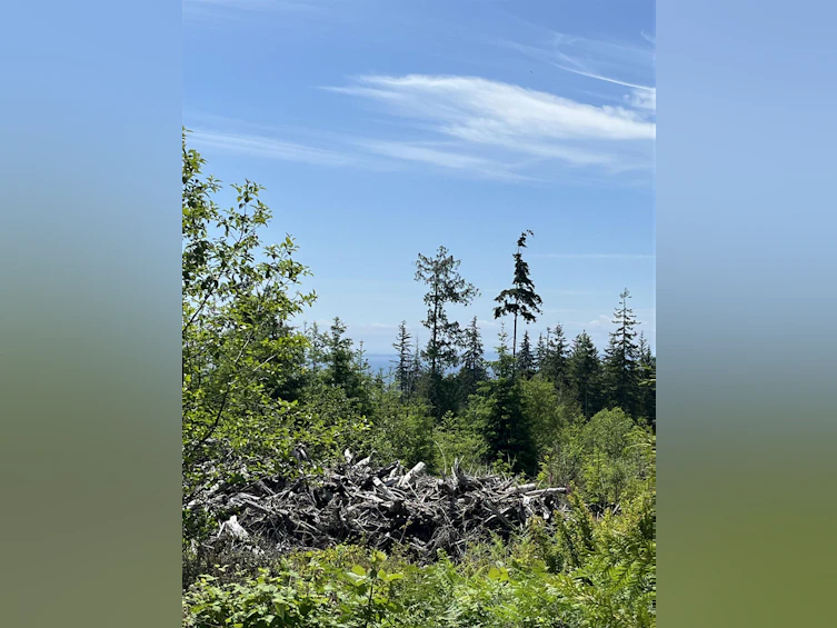 DL 1312 Sullivan Road, Gibsons, BC, V0N 1V7 - 21