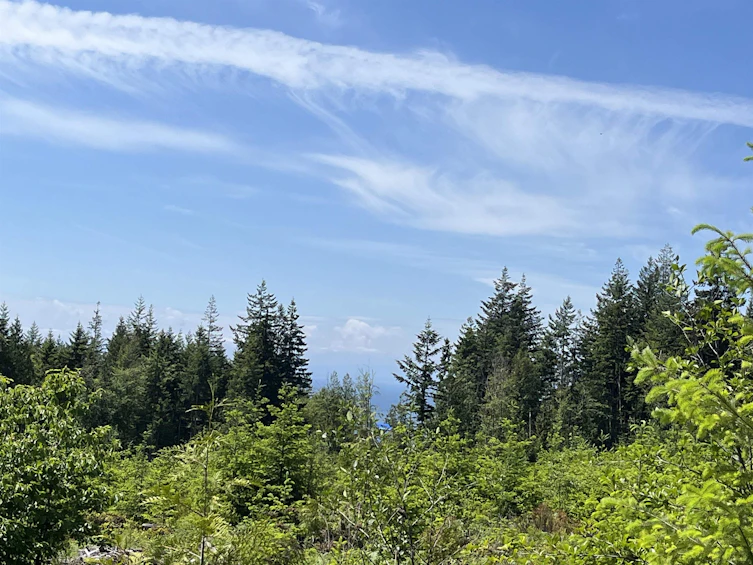 DL 1312 Sullivan Road, Gibsons, BC, V0N 1V7 - 20