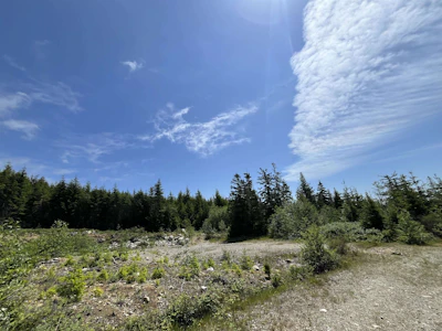 DL 1312 Sullivan Road - 2
