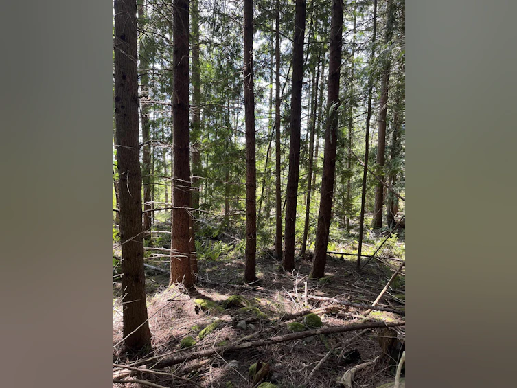 DL 1312 Sullivan Road, Gibsons, BC, V0N 1V7 - 11