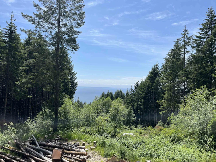 DL 1312 Sullivan Road, Gibsons, BC, V0N 1V7 - 5
