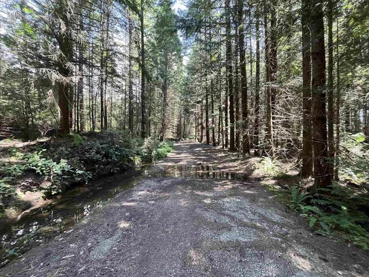 DL 1312 Sullivan Road, Gibsons, BC, V0N 1V7 - 19