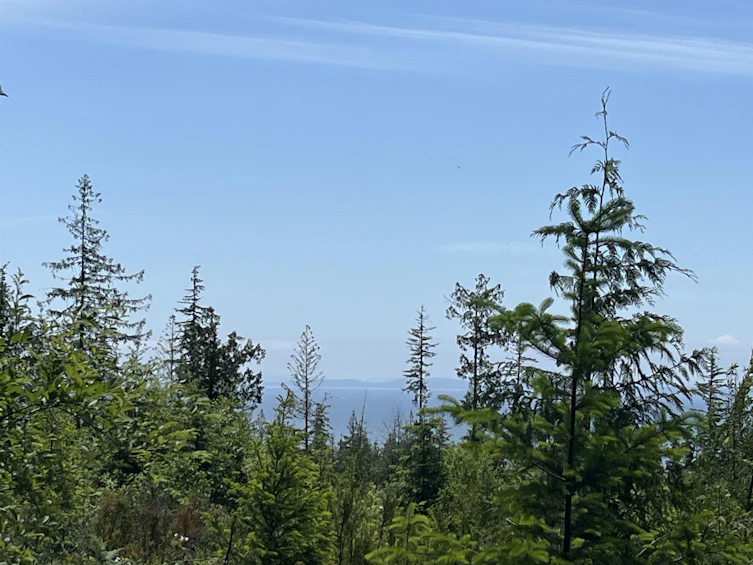 DL 1312 Sullivan Road, Gibsons, BC, V0N 1V7 - 23