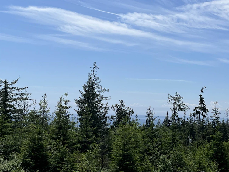 DL 1312 Sullivan Road, Gibsons, BC, V0N 1V7 - 14