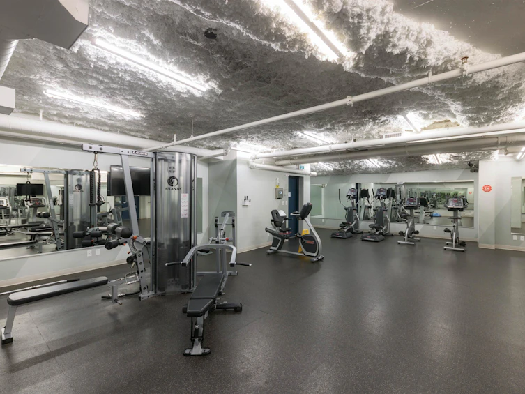225-2888 Cambie Street, Vancouver, BC, V5Z 0H3 - 39