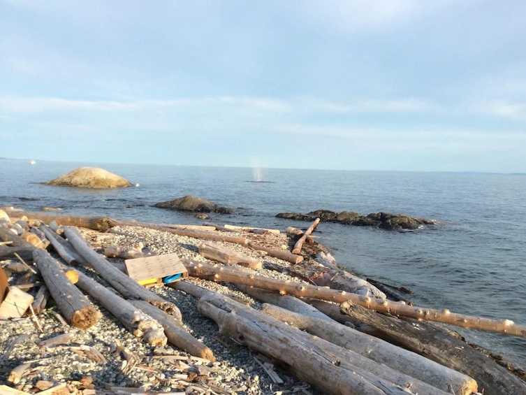 1537 Mccullough Road, Sechelt, BC, V7Z 0A5 - 5