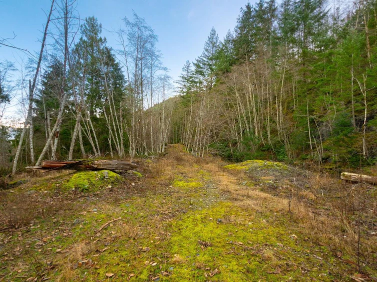 1049 Grafton Road, Bowen Island, BC, V0N 1G2 - 7