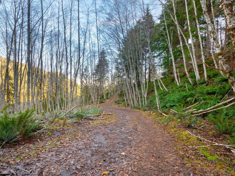 1049 Grafton Road, Bowen Island, BC, V0N 1G2 - 2